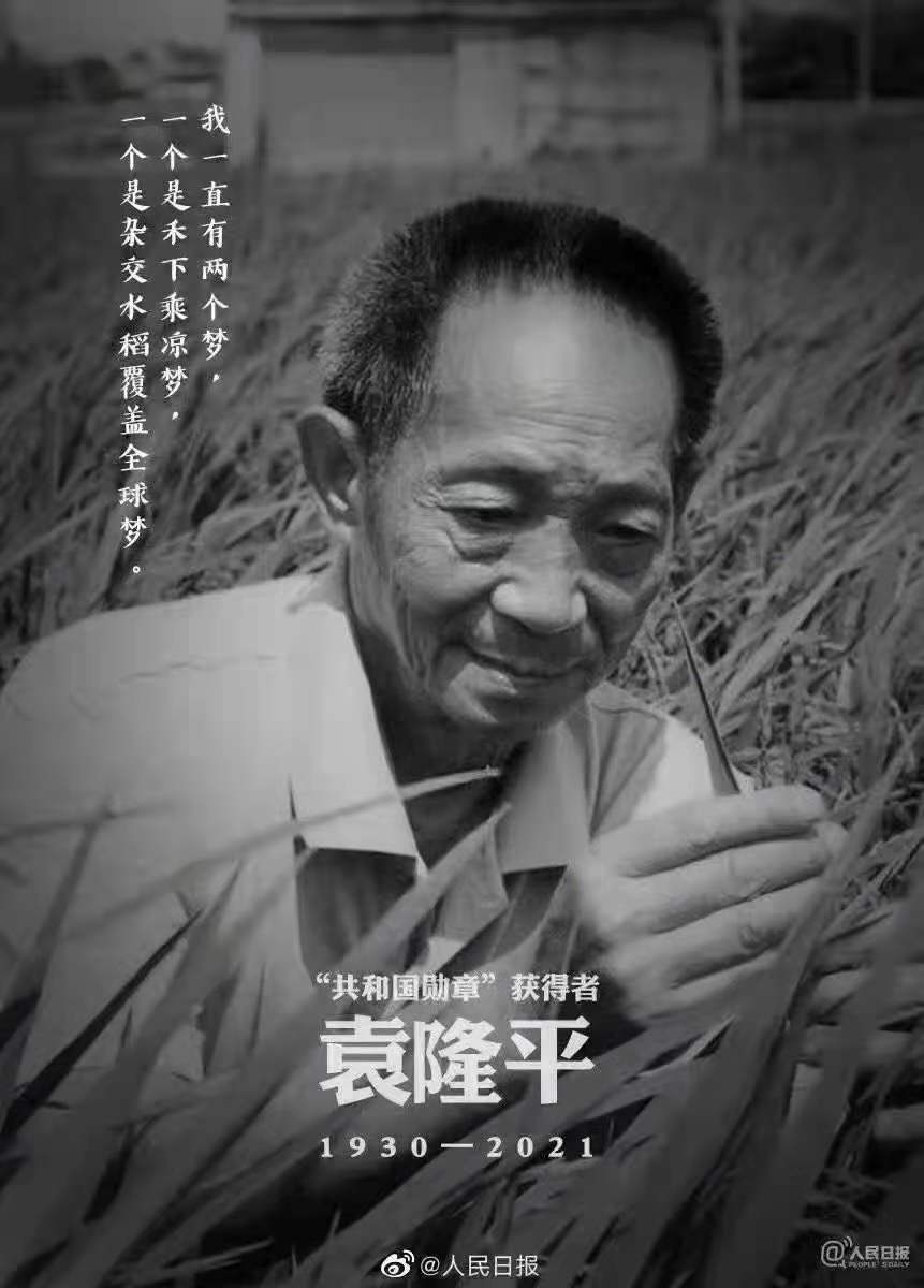 緬懷，國(guó)之脊梁——雜交水稻之父